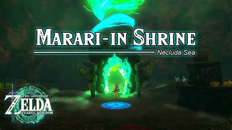 marari in shrine|Zelda: Tears Of The Kingdom: Marari